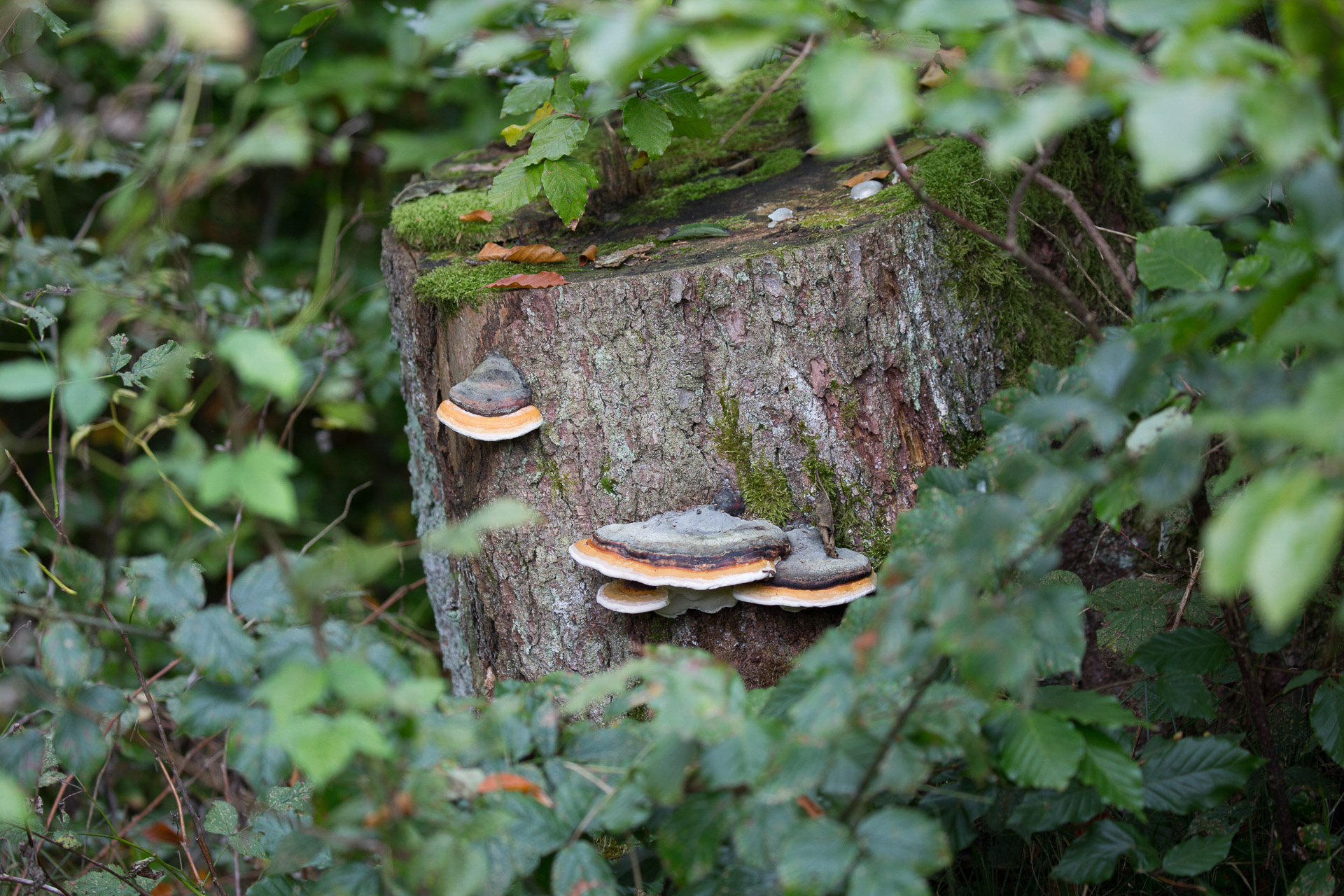 20231014100727 3K6A2191